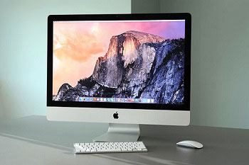 Portfolio Image